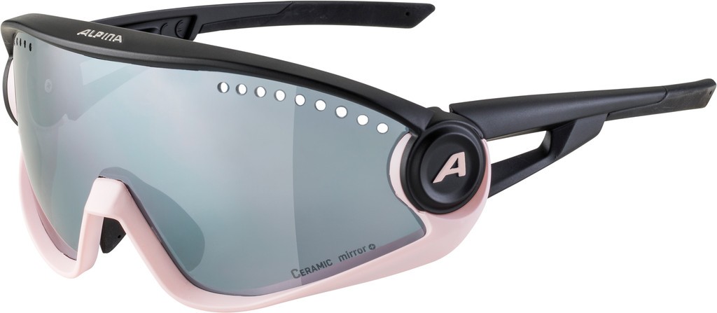 Sonnenbrille Alpina 5w1ng Cm+           
