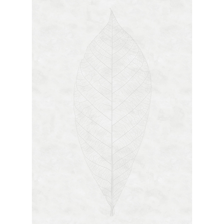 Non-Woven Wallpaper - Decent Leaf - Størrelse 200 X 280 Cm