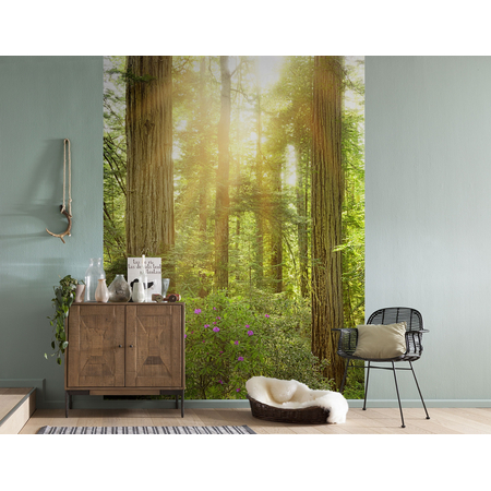 Non-Woven Wallpaper - Redwood - Størrelse 200 X 250 Cm