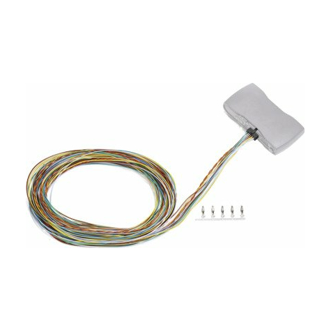 I/O-Kabel Til Webfleet Solutions Link 710 Fuldt Tilsluttet - 12 Pin Ekstra Lang