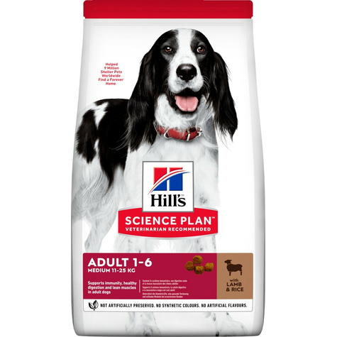 Hills,Hillsdog Ad Lamm+Ris 2,5kg
