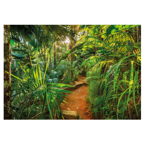 Papir Foto Tapet - Jungle Trail - Størrelse 368 X 254 Cm