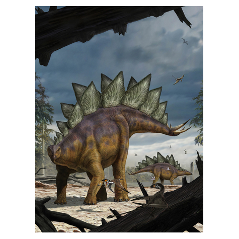 Non-Woven Tapet - Stegosaurus - Størrelse 184 X 248 Cm