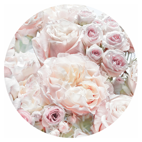 Selvklæbende Non-Woven Tapet/Væg Tatovering - Pink And Cream Roses - Størrelse 125 X 125 Cm