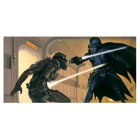 Non-Woven Wallpaper - Star Wars Classic Rmq Vader Vs Luke - Størrelse 500 X 250 Cm