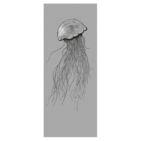 Ikke-Vævet Fototapet - Jellyfish Panel - Størrelse 100 X 250 Cm