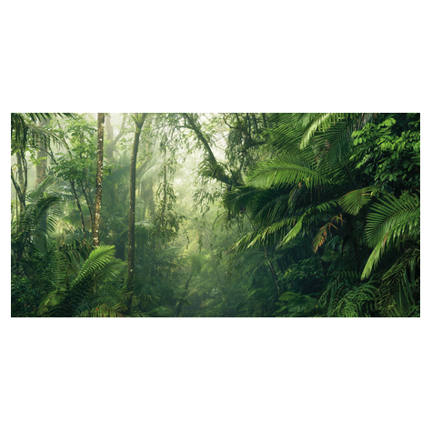 Ikke-Vævet Fototapet - Tropical Worlds - Størrelse 500 X 250 Cm