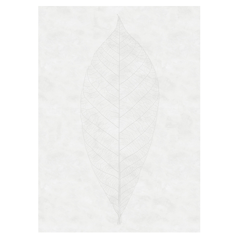 Non-Woven Wallpaper - Decent Leaf - Størrelse 200 X 280 Cm