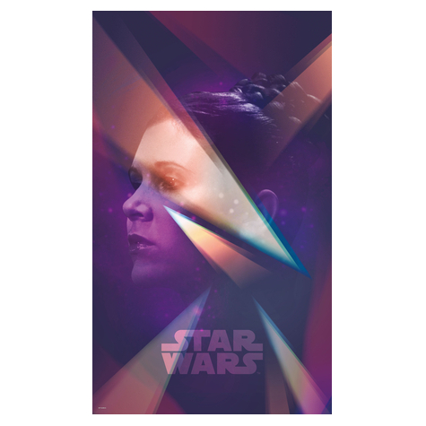 Ikke-Vævet Fototapet - Star Wars Female Leia - Størrelse 120 X 200 Cm
