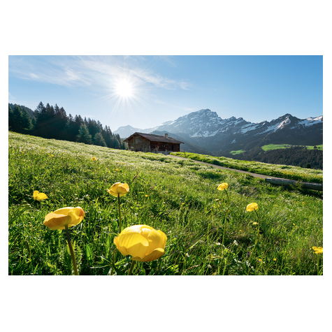 Ikke-Vævet Fototapet - Alpine Happiness - Størrelse 400 X 280 Cm