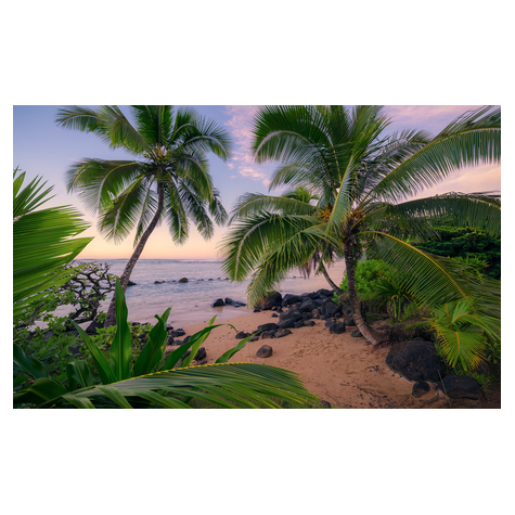Ikke-Vævet Fototapet - Hawaiian Dreams - Størrelse 450 X 280 Cm