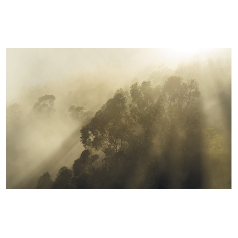 Ikke-Vævet Fototapet - Misty Mountain - Størrelse 400 X 250 Cm