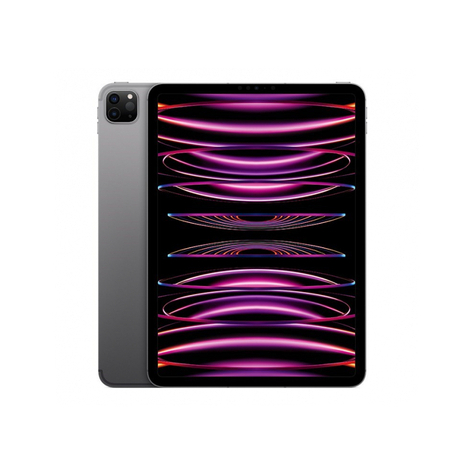 Apple Ipad Pro 11 Wi-Fi + Cellular 512 Gb Space Gray 4th Gen. Mnyg3fd/A