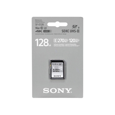 Sony Sdxc E-Serien 128 Gb Uhs-Ii Class 10 U3 V60 - Sfe128