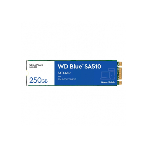 Wd Blue Sa510 M.2 M.2 250 Gb Sata Ssd Wds250g3b0b