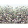 Non-Woven Tapet - Botanica - Størrelse 368 X 248 Cm