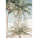 Non-Woven Wallpaper - Palm Oasis - Størrelse 200 X 280 Cm