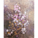 Non-Woven Wallpaper - Hanami - Size 200 X 250 Cm