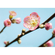 Ikke-Vævet Fototapet - Peach Blossom - Størrelse 350 X 250 Cm