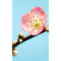 Ikke-Vævet Fototapet - Peach Blossom - Størrelse 150 X 250 Cm
